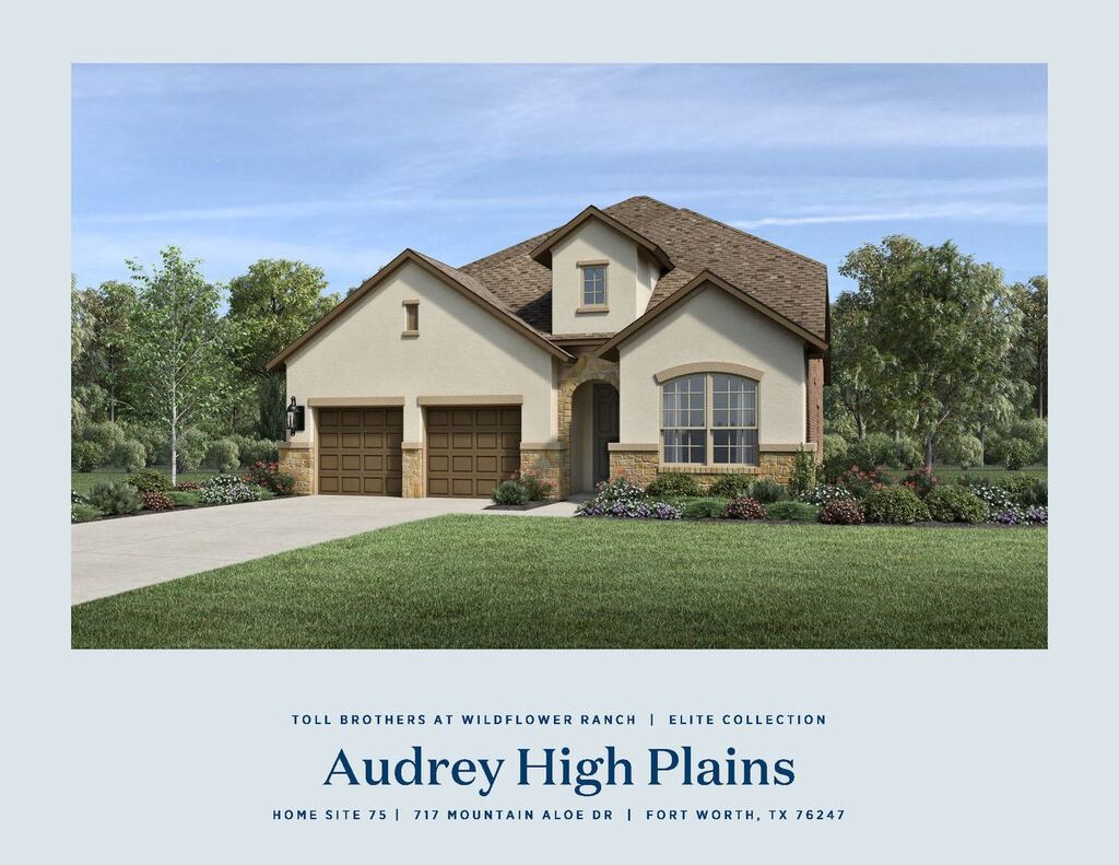 717 Mountain Aloe Drive, Fort Worth, TX 76247 — photo 1