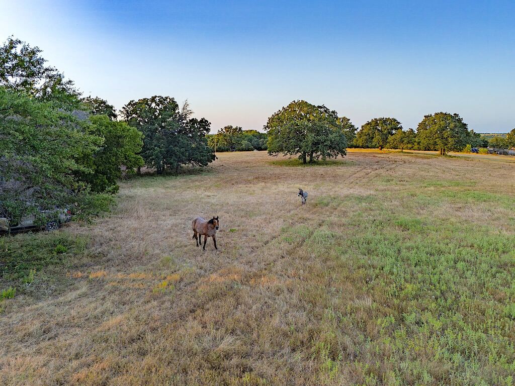 2403 County Road 2224, Decatur, TX 76234 — photo 1