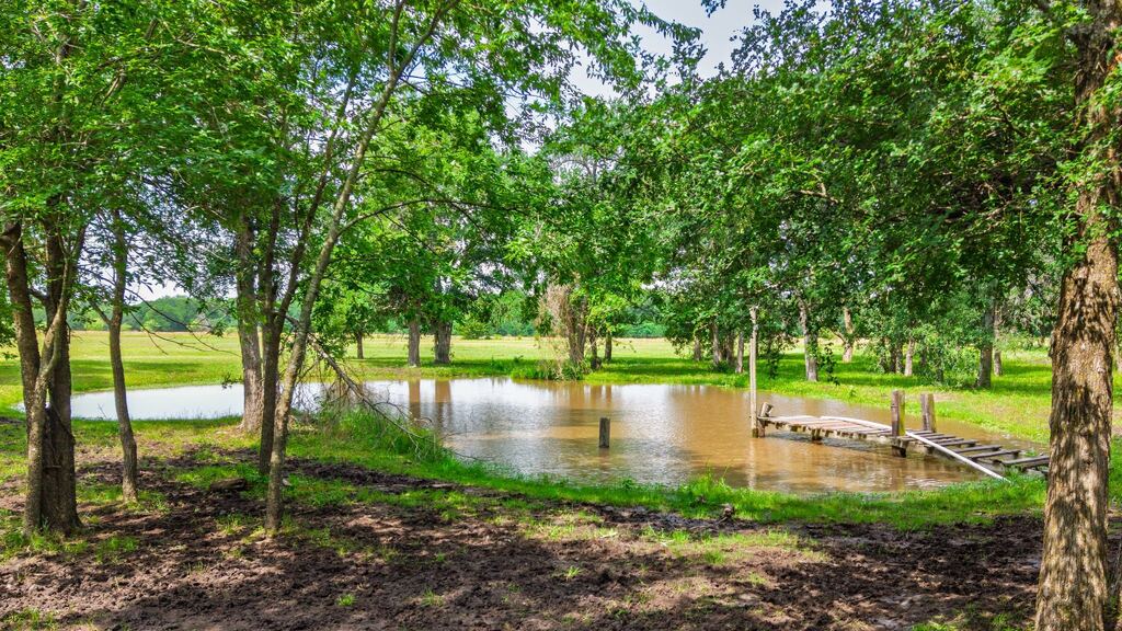7478 County Road 1020, Wolfe City, TX 75496 — photo 1
