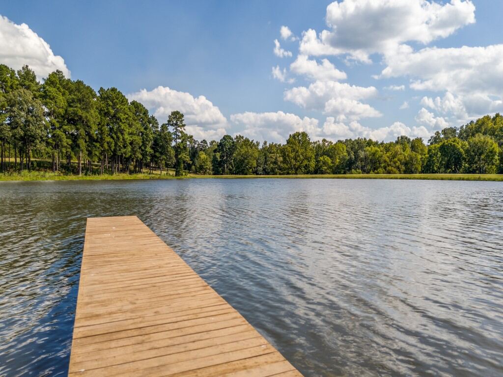 14244 Caddo Creek Circle, Larue, TX 75770 — photo 1