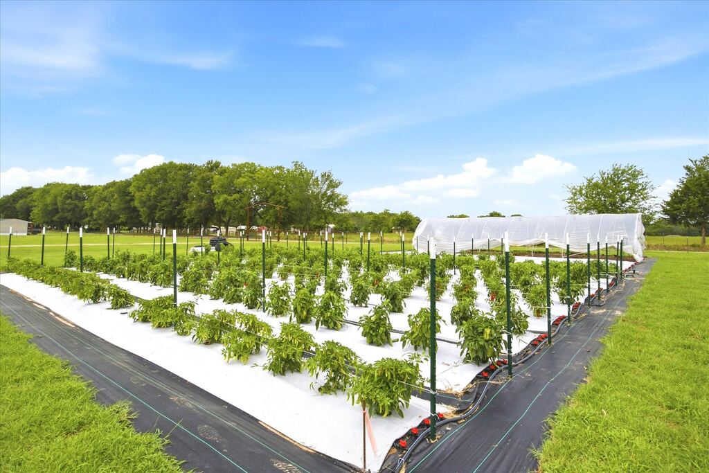 4020 FM 515, Emory, TX 75440 — photo 1