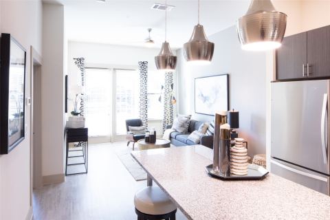 901 N Zang Boulevard 302, Dallas