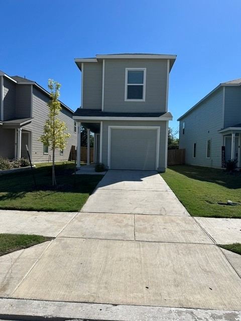 833 Sandhill Crane, Princeton