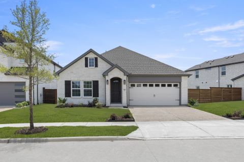 2004 Blossom Trail, Mesquite