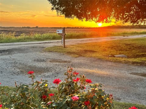 550 Brookshire Street, Powell, TX 75153 — photo 2