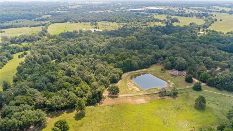 253 County Road 2412, Winnsboro, TX 75471 — photo 3