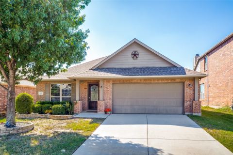 14317 Mariposa Lily Lane, Fort Worth