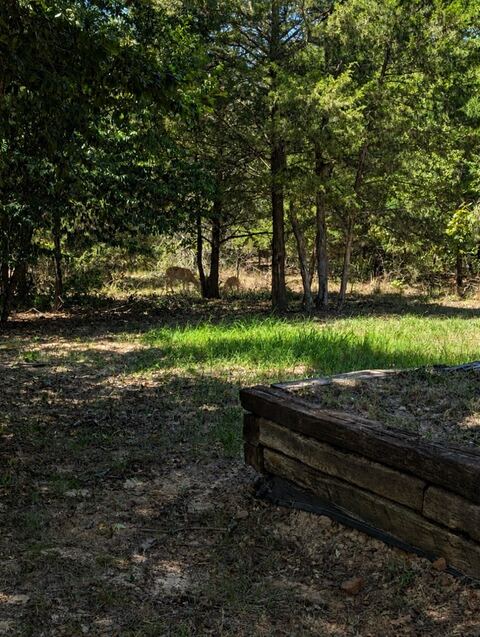 469 Holly Glen, Murchison, TX 75156 — photo 2