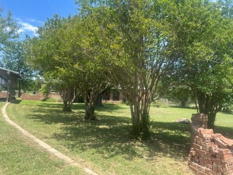 6164 County Road 264, Dublin, TX 76446 — photo 2