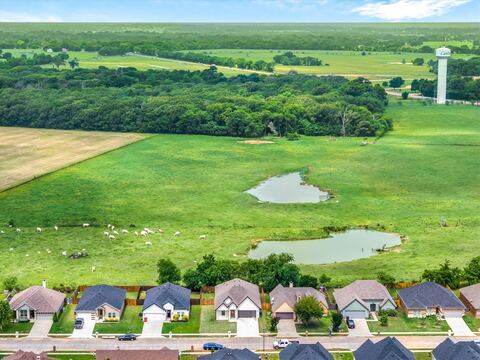 1868 Meadowview, Canton, TX 75103 — photo 3
