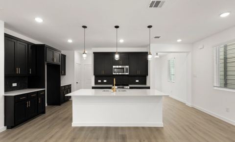 2521 Lost Maples Lane, Dallas