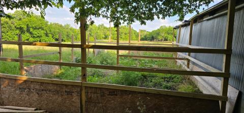 2267 County Road 3025, Bonham