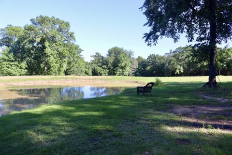 387 County Road 2101, Ivanhoe, TX 75447 — photo 3