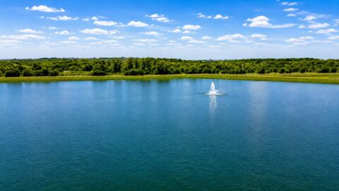 8416 Whistling Duck Drive, Fort Worth