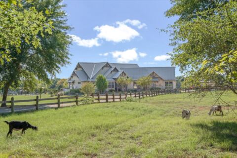 10623 FM 1651, Canton, TX 75103 — photo 3