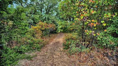7111 Starkey Road, St Jo, TX 76265 — photo 2