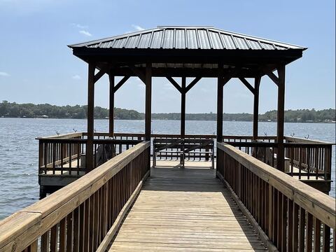 1031 Callender Lake Drive, Murchison, TX 75778 — photo 3